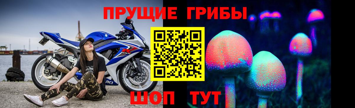 Галлюциногенные грибы прущие грибы Ногинск