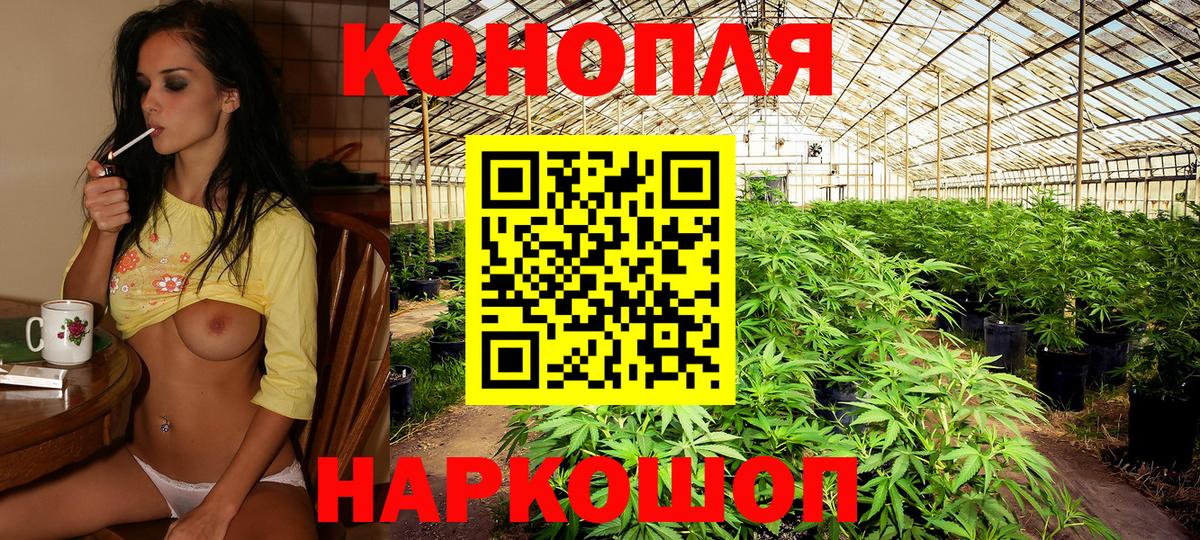 Ногинск  Конопля планчик  Марихуана планчик  Канабис конопля  Вход с VPN 