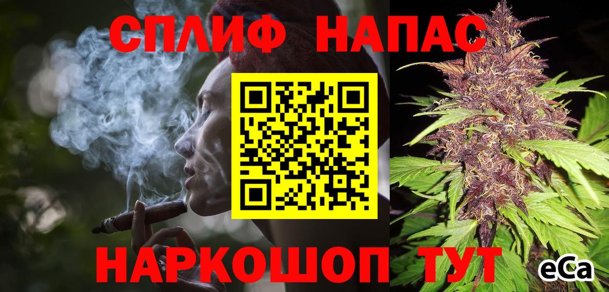 Бошки Шишки MAZAR Ногинск